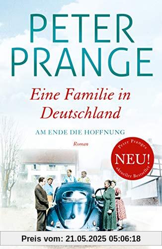 Eine Familie in Deutschland: Am Ende die Hoffnung: Band 2