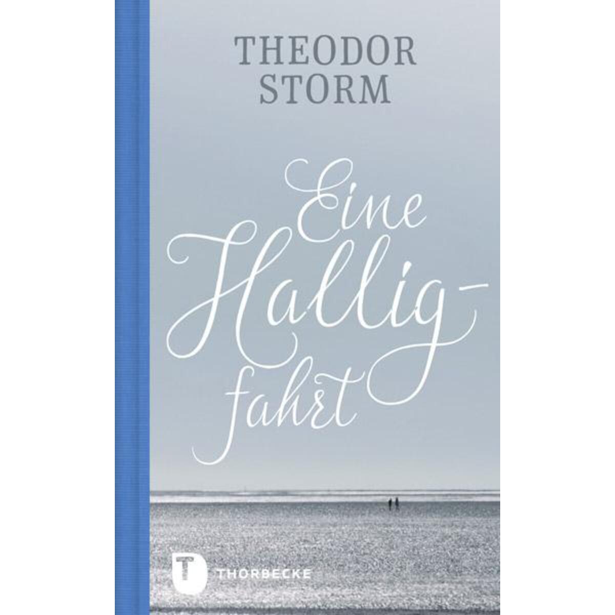 Eine Halligfahrt von Thorbecke Jan Verlag