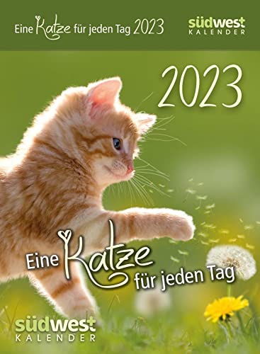 Eine Katze für jeden Tag 2023 - Tagesabreißkalender zum Aufstellen oder Aufhängen von Suedwest Verlag