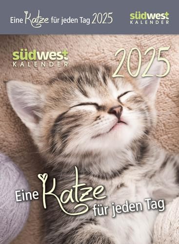Eine Katze für jeden Tag 2025 - Tagesabreißkalender zum Aufstellen oder Aufhängen von Südwest Verlag