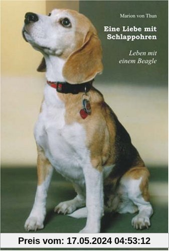 Eine Liebe mit Schlappohren - Leben mit einem Beagle
