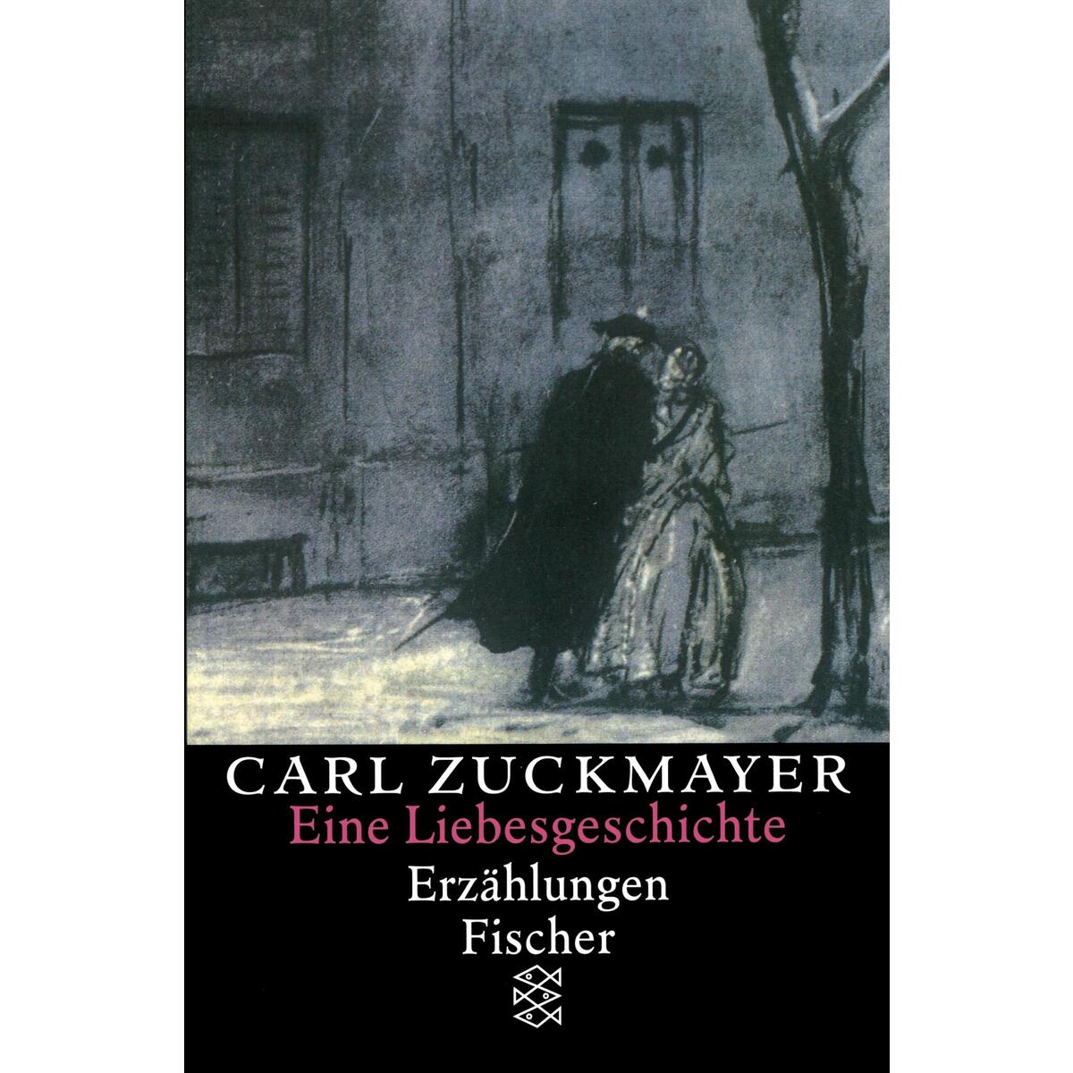 Eine Liebesgeschichte von S. Fischer Verlag
