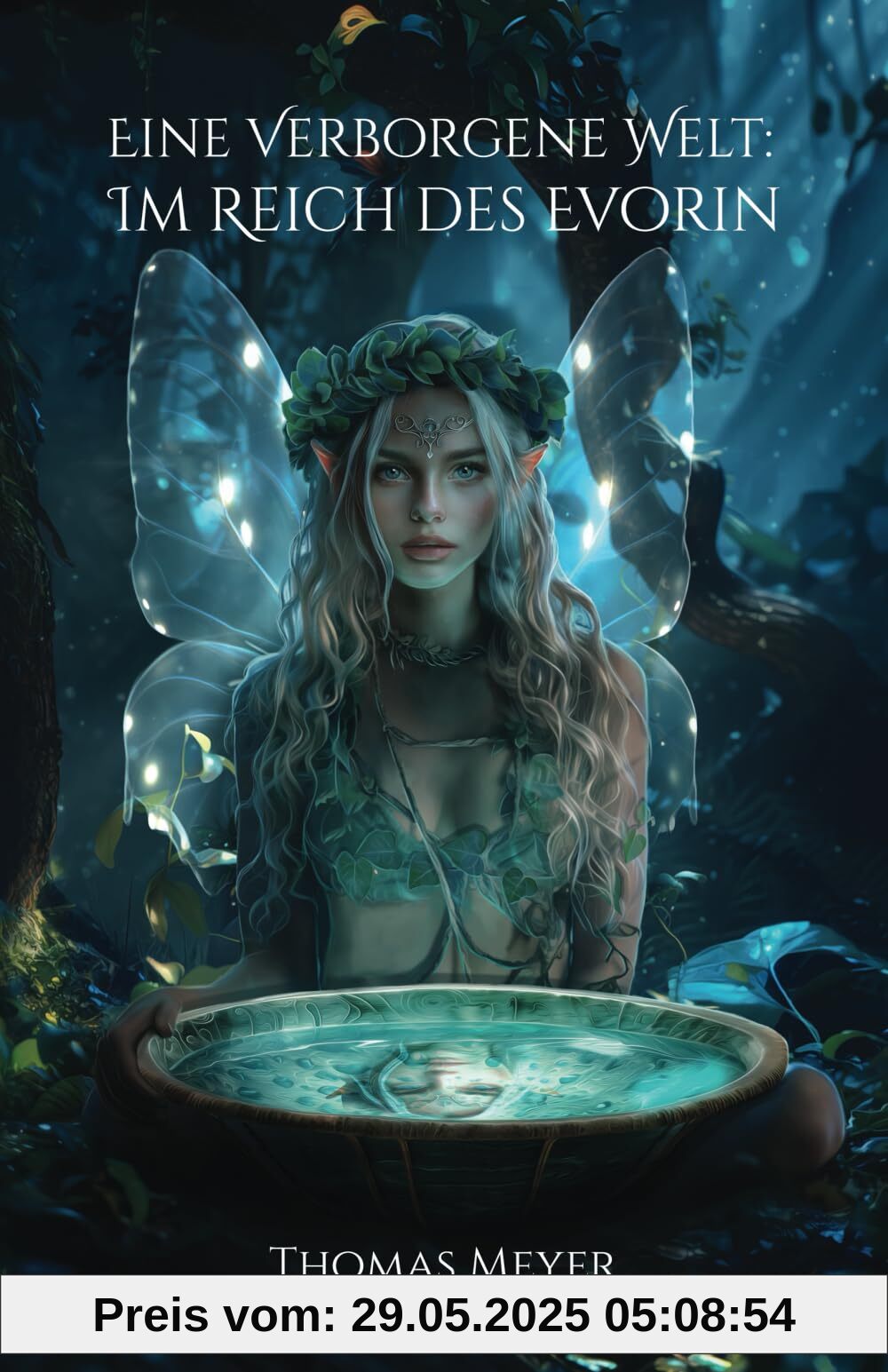 Eine Verborgene Welt: Im Reich des Evorin: Ein Fantasy-Roman für junge (und) Erwachsene, die sich mit dem Mystischen verbunden fühlen