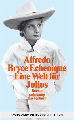 Eine Welt für Julius: Roman (suhrkamp taschenbuch)