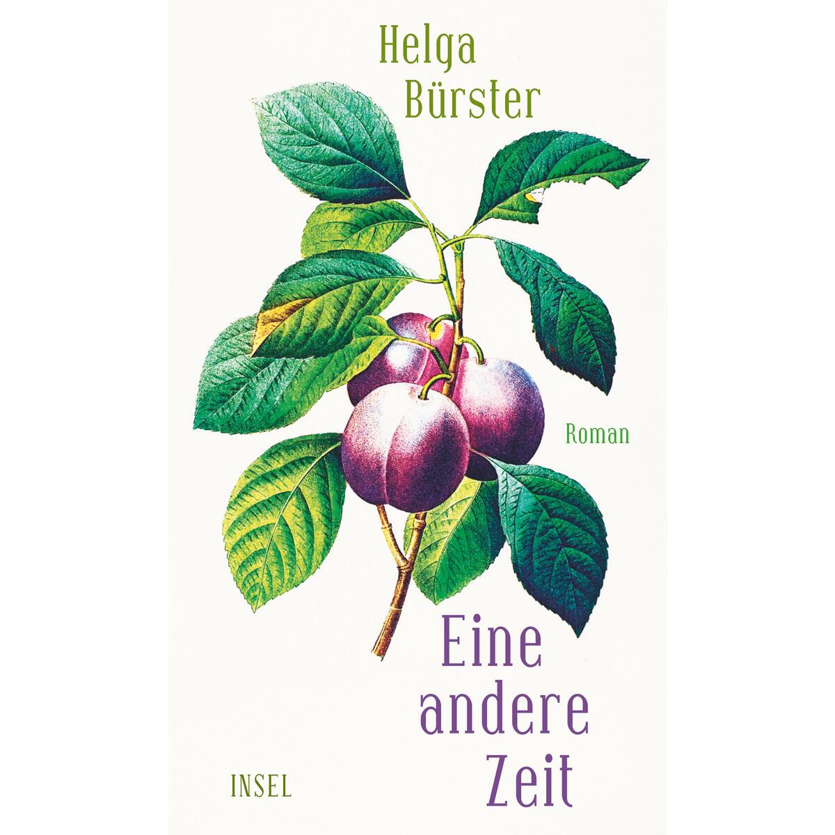 Eine andere Zeit Eine andere Zeit von Insel Verlag GmbH