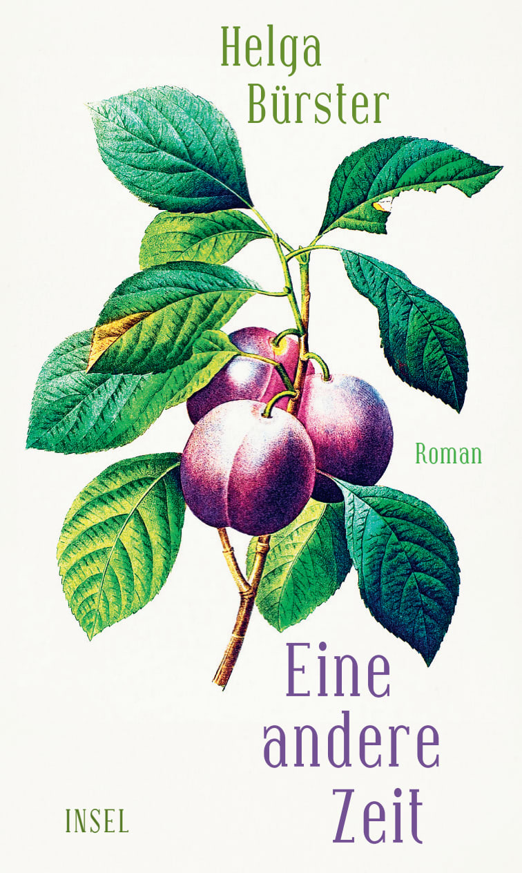 Eine andere Zeit Eine andere Zeit von Insel Verlag