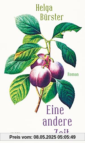 Eine andere Zeit: Roman Eine andere Zeit: Roman