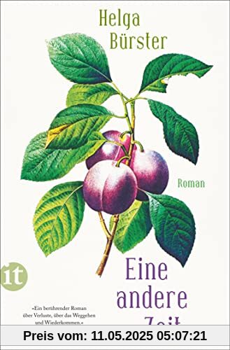 Eine andere Zeit: Roman | Die berührende Geschichte zweier Schwestern nach der Wende (insel taschenbuch)