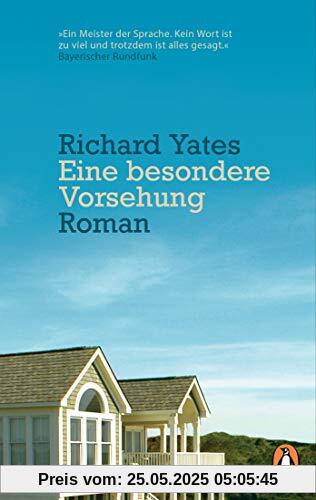 Eine besondere Vorsehung: Roman