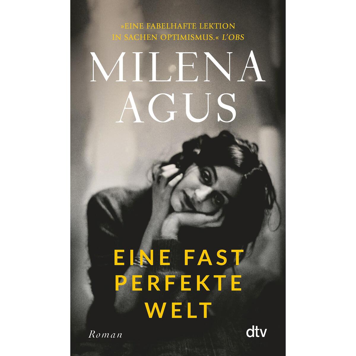 Eine fast perfekte Welt von dtv Verlagsgesellschaft