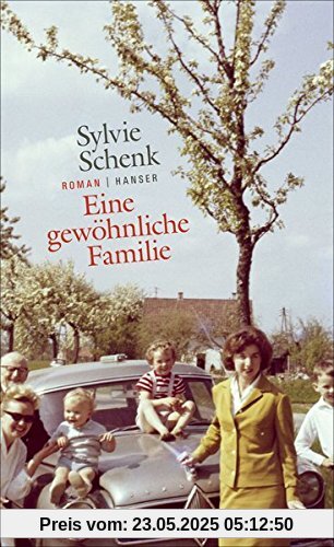 Eine gewöhnliche Familie: Roman