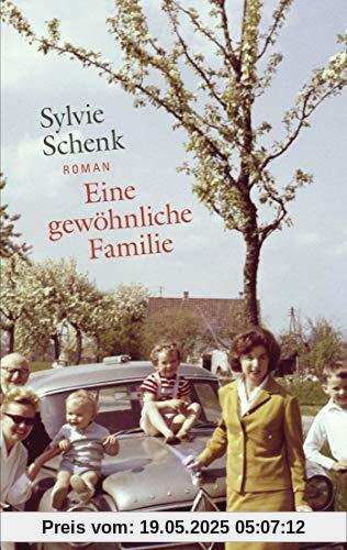 Eine gewöhnliche Familie: Roman