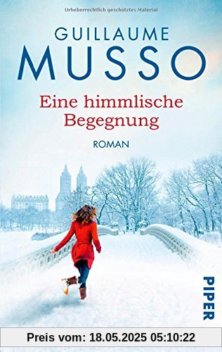 Eine himmlische Begegnung: Roman