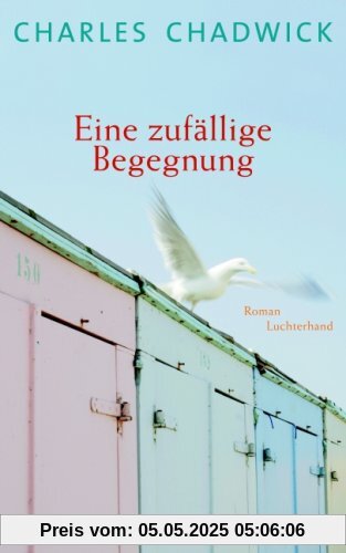 Eine zufällige Begegnung: Roman