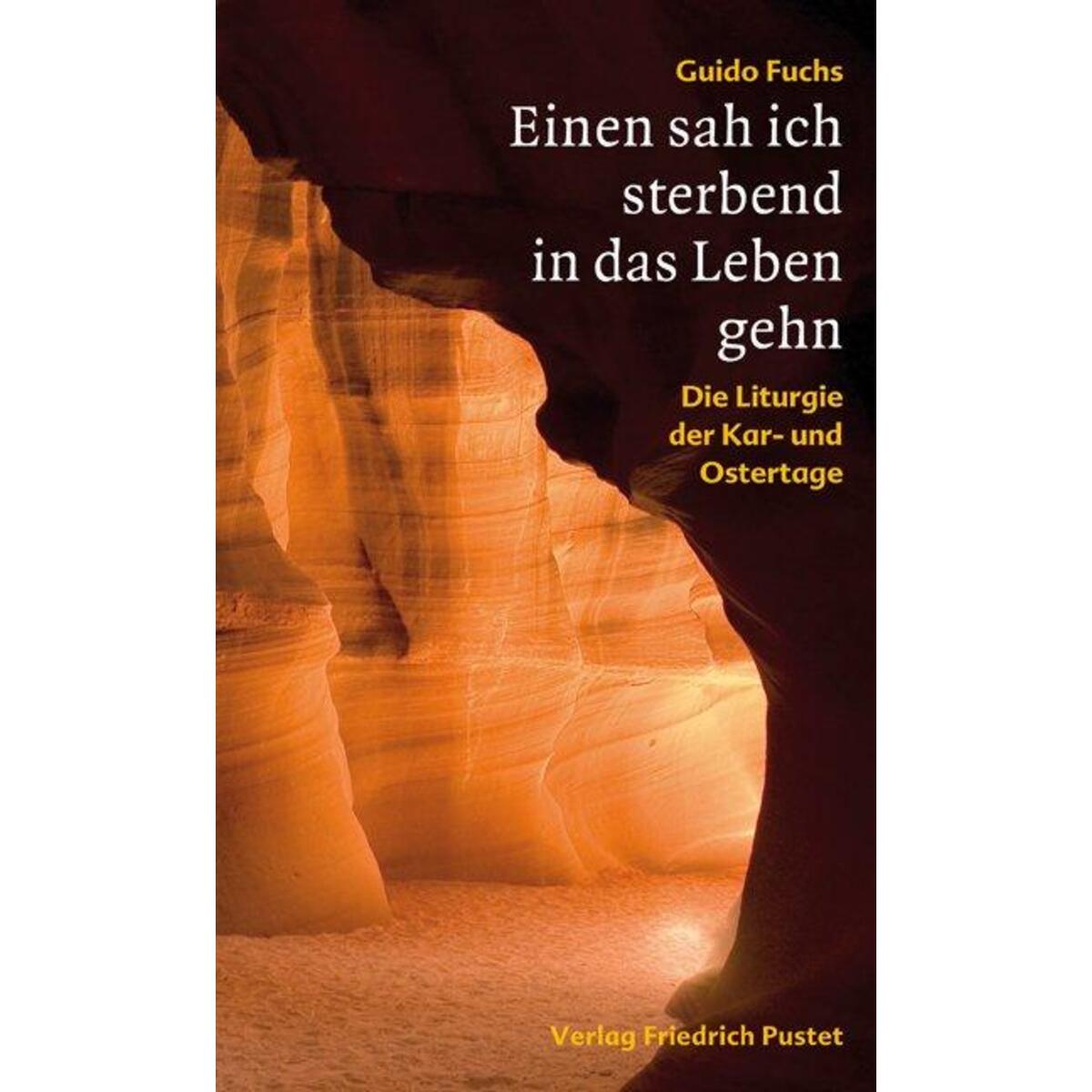 Einen sah ich sterbend in das Leben gehen von Pustet, Friedrich GmbH