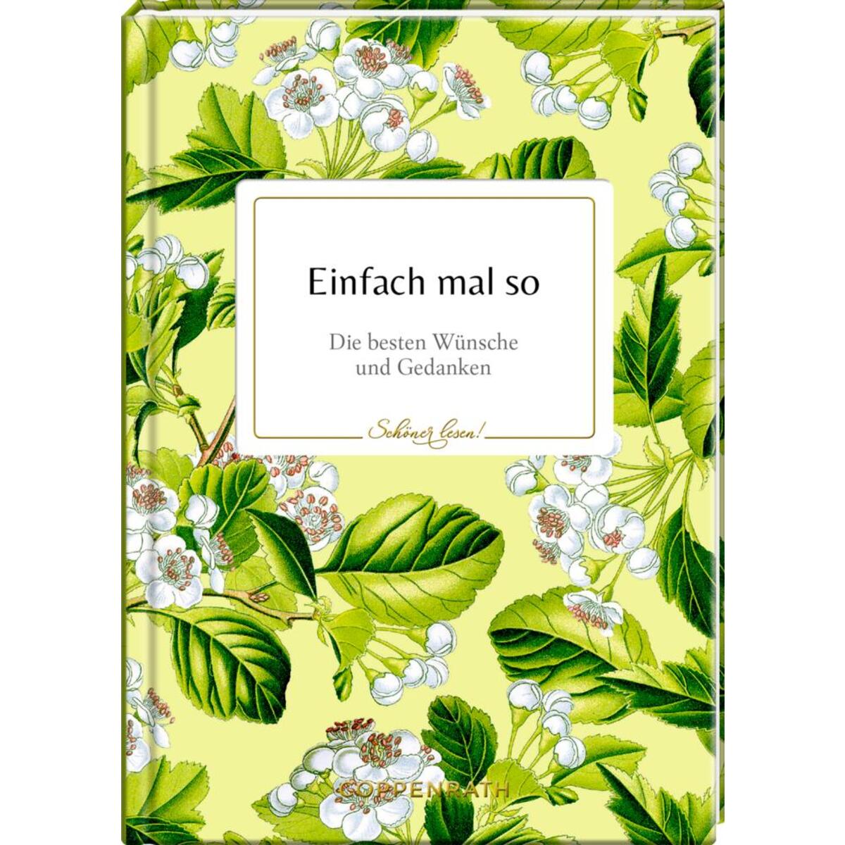 Einfach mal so von Coppenrath