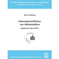 Einflussfaktoren der Informationseffizienz von Aktienmärkten.