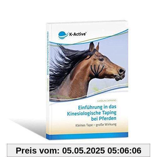 Einführung in das Kinesiologische Taping bei Pferden: Kleines Tape - große Wirkung