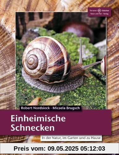 Einheimische Schnecken: In der Natur, im Garten und zu Hause