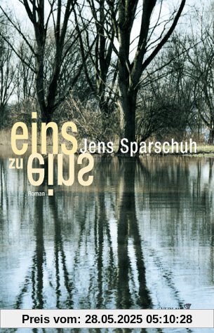 Eins zu eins: Roman