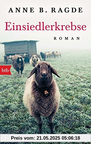 Einsiedlerkrebse: Roman (Die Lügenhaus-Serie, Band 2)