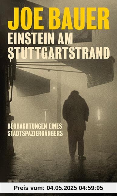 Einstein am Stuttgartstrand: Beobachtungen eines Stadtspaziergängers (Critica Diabolis)