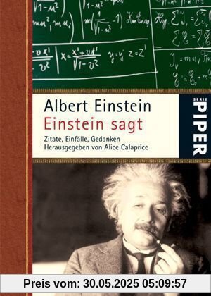 Einstein sagt: Zitate, Einfälle, Gedanken