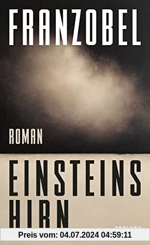 Einsteins Hirn: Roman