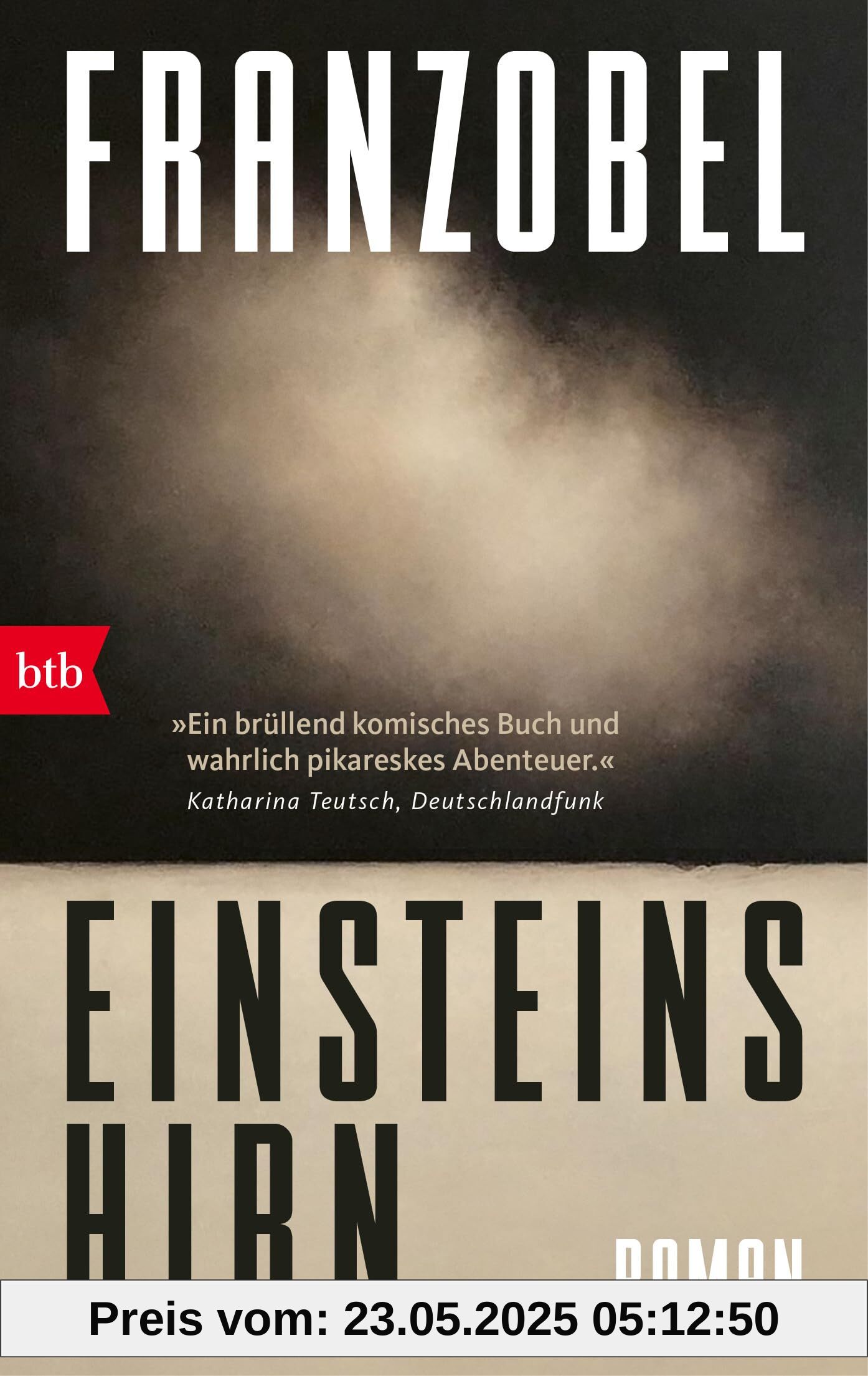 Einsteins Hirn: Roman Einsteins Hirn: Roman
