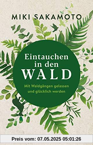 Eintauchen in den Wald: Mit Waldgängen gelassen und glücklich werden