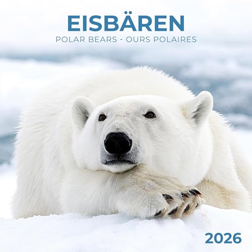 Eisbärchen/Polar Bears 2026: Kalender 2026 (Artwork Edition) von Tushita PaperArt
