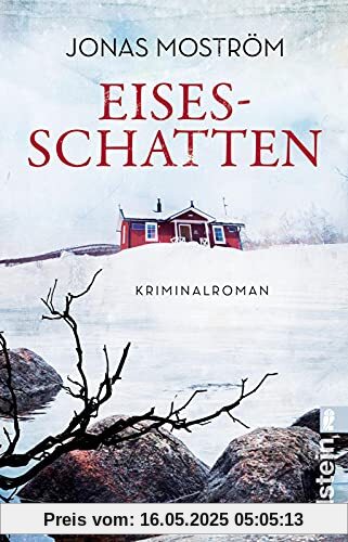 Eisesschatten: Kriminalroman (Ein Nathalie-Svensson-Krimi, Band 5)