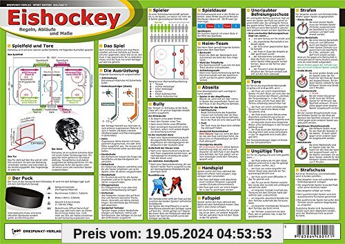 Eishockey: Regeln, Abläufe und Maße