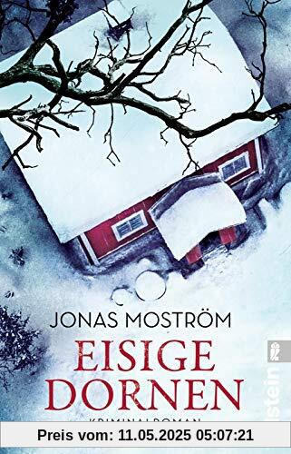 Eisige Dornen (Ein Nathalie-Svensson-Krimi, Band 4)