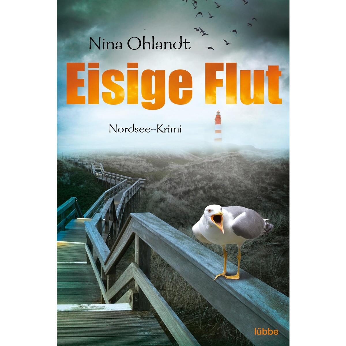 Eisige Flut von Lübbe