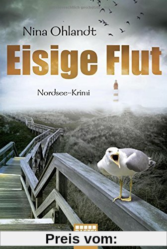 Eisige Flut: Nordsee-Krimi (Hauptkommissar John Benthien, Band 5)