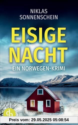 Eisige Nacht: Ein Norwegen-Krimi