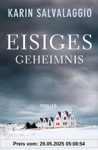 Eisiges Geheimnis: Thriller