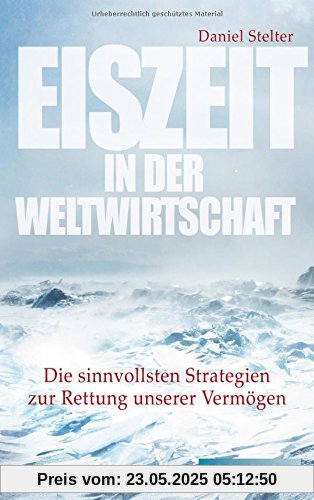 Eiszeit in der Weltwirtschaft: Die sinnvollsten Strategien zur Rettung unserer Vermögen