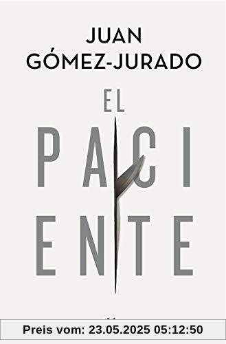 El paciente (Ficción)