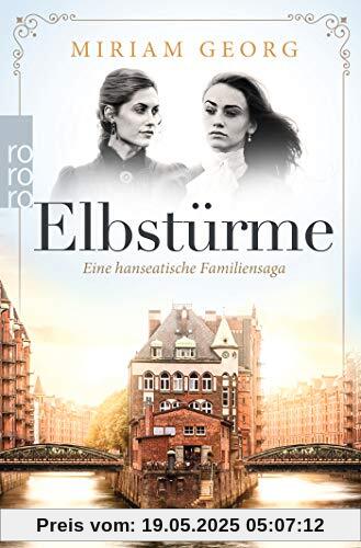 Elbstürme (Eine hanseatische Familiensaga, Band 2)