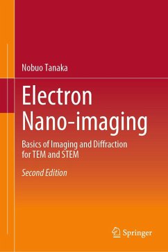 Electron Nano-Ïmaging von Springer / Springer Japan / Springer, Berlin