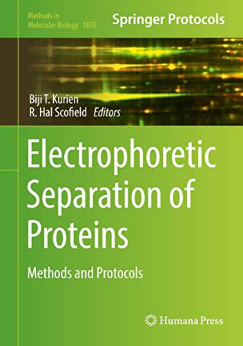 Electrophoretic Separation of Proteins: Methods and Protocols (Methods in Molecular Biology, 1855, Band 1855) von Humana