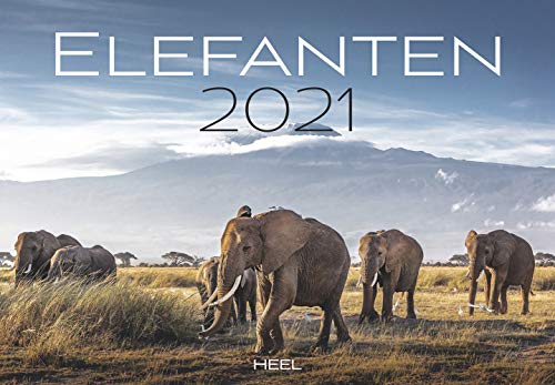 Elefanten 2021: Sanfte Riesen der Wüste von Heel Verlag GmbH
