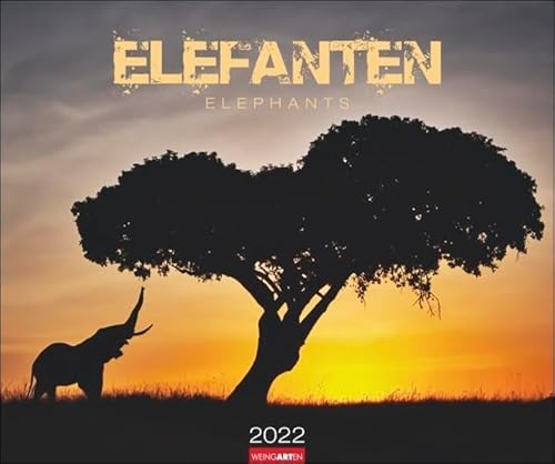 Elefanten Kalender 2022 - Tierkalender - Wandkalender mit internationalem Monatskalendarium - 12 Farbfotos - 55 x 46 cm: Elephants von Weingarten