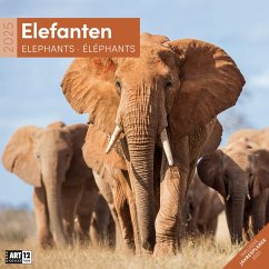 Elefanten Kalender 2025 - 30x30 von Ackermann Kunstverlag