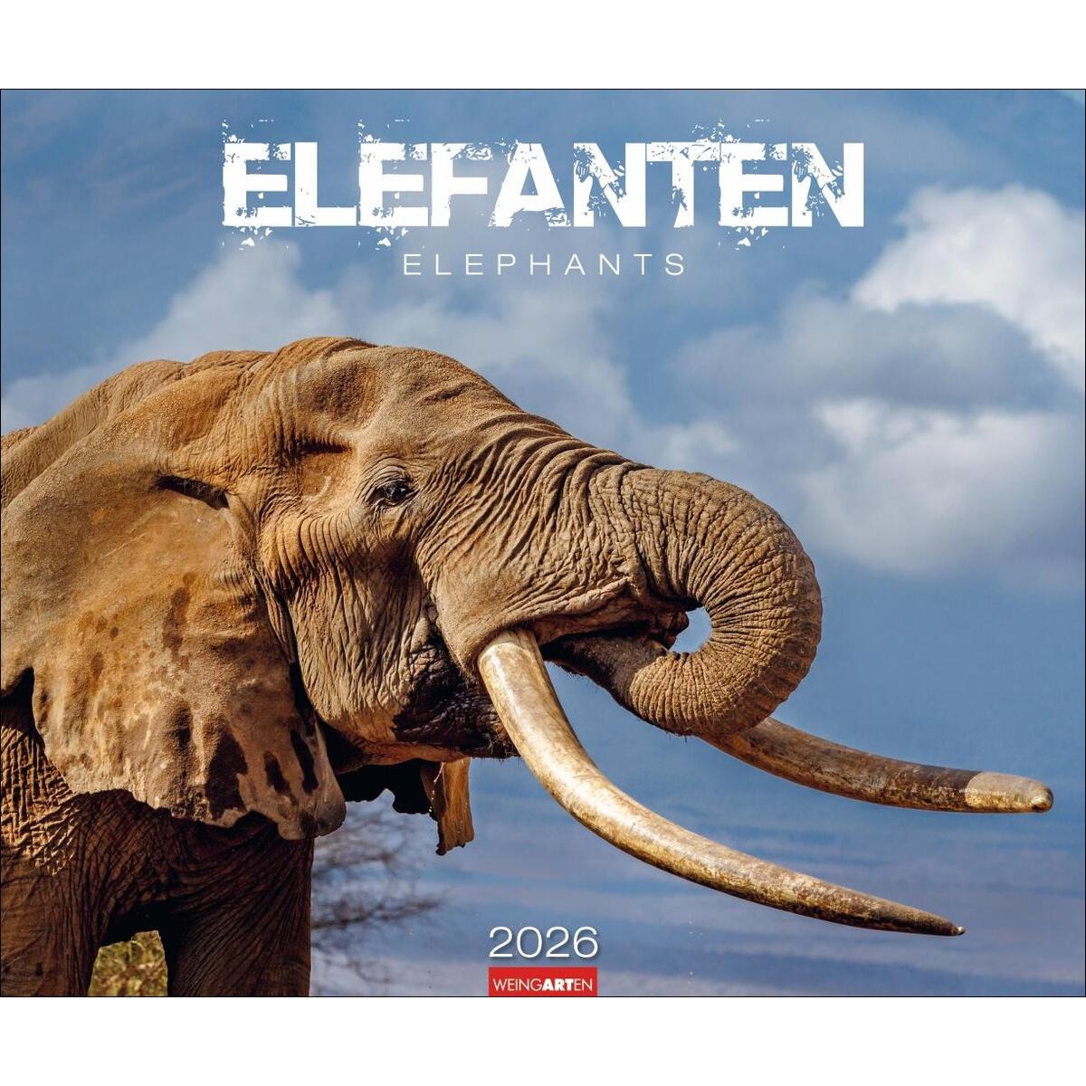 Elefanten Kalender 2026 Elefanten Kalender 2026 von Weingarten