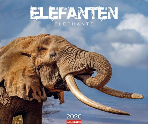 Elefanten Kalender 2026: Die sanften Riesen Afrikas, porträtiert in einem großen Wand-Kalender. Hochwertiger Fotokalender voll beeindruckender ... x 46 cm Querformat (Tierkalender Weingarten) von Weingarten