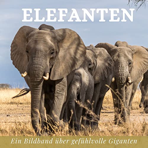 Elefanten: Ein Bildband über gefühlvolle Giganten von 27 Amigos