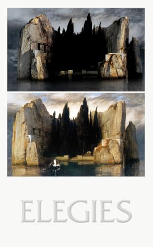 Elegies: Laments for an architectural project Elegies: Laments for an architectural project von M BOOKS